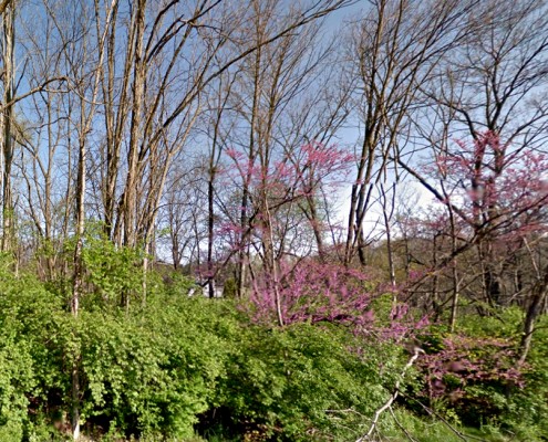 Stan Yoder Preserve