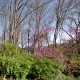 Stan Yoder Preserve