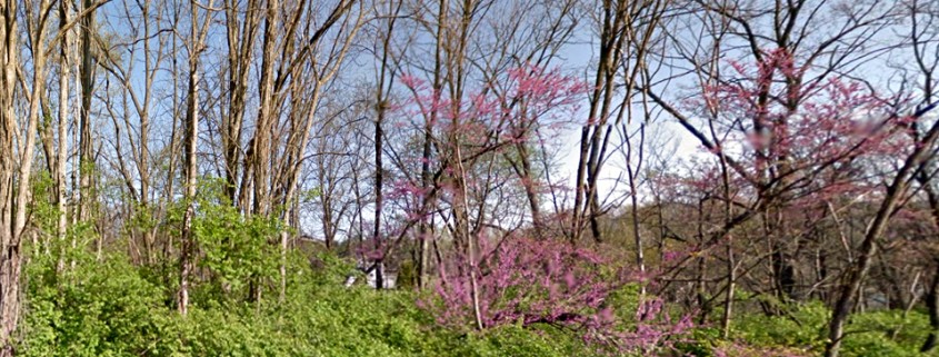 Stan Yoder Preserve