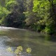 Spring Creek Centre County PA