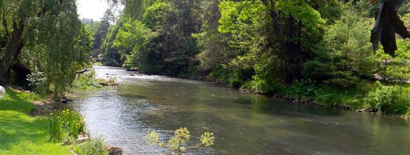 Spring Creek Centre County PA